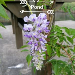 Meet your Posher, Marie